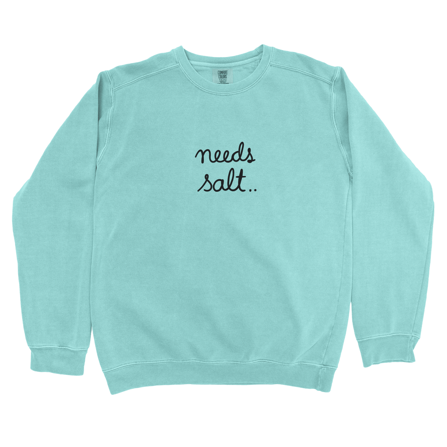Sweatshirt Chalky Mint / S Needs Salt Sweatshirt